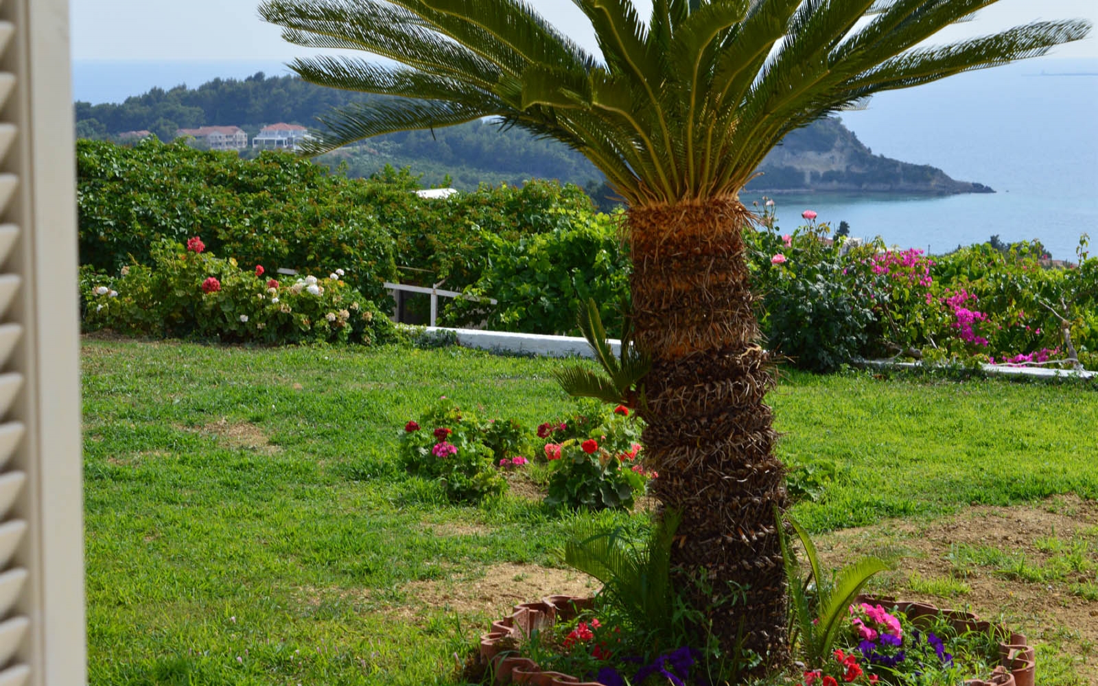 Mediterranean Studios